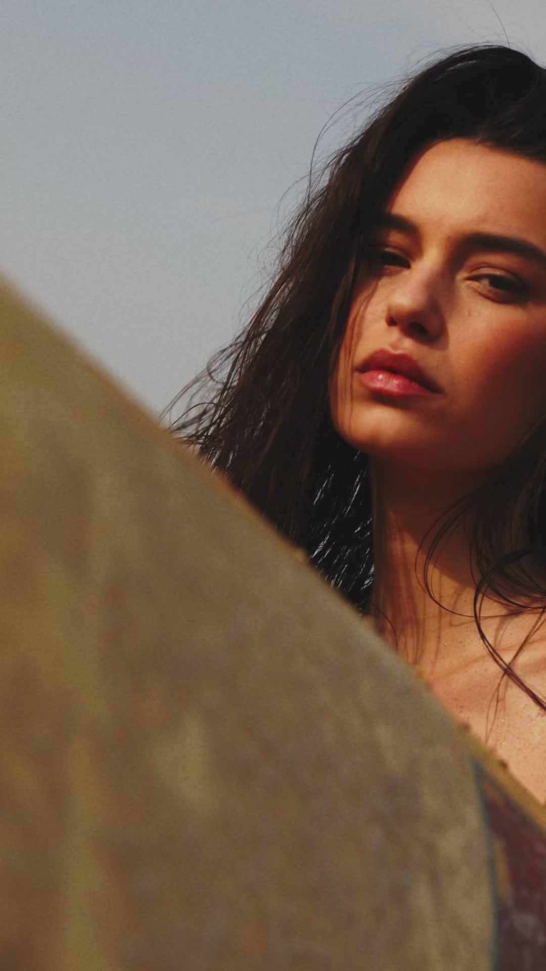 Charger la vidéo : 